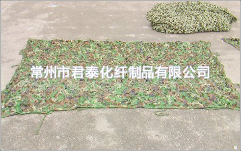 伪装网